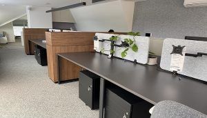 IMG_7186-Copy-2 - Copy