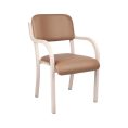 Aliwood Arm Chair 