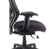 Aspire Mesh Back Task Chair