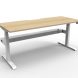 BOOST+ Dual Motors Single Sided Electric Desk 1500
