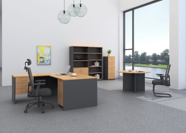 Half Door Stationery Cupboard BEECH - 5 Colours Half Door Stationery Cupboard BEECH - 5 Colours