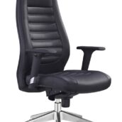 BOSTON Medium Back Executive Chair
