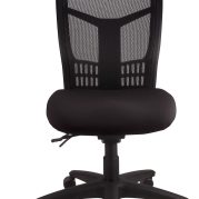 Mesh Mirae HIGH Back Task Chair