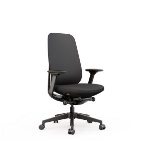 Acama Task Chair