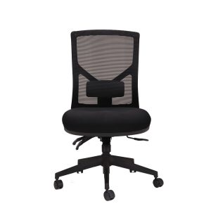 Breeze Mesh Back Task Chair
