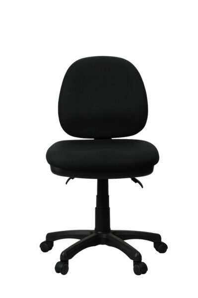 Ergo Classic MB Task Chair