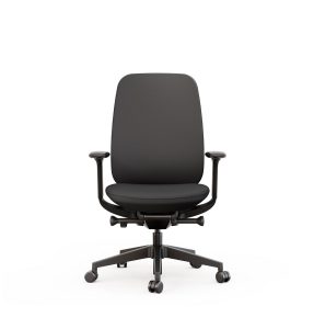 Acama Task Chair