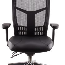 Mesh Deluxe Executive Leather Chair