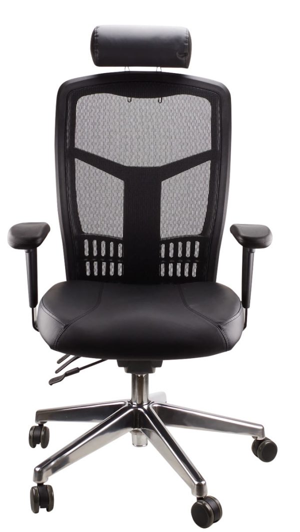 Mesh Deluxe Executive Leather Chair