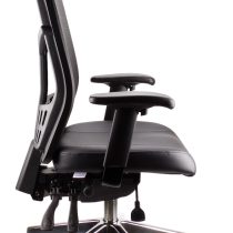 Mesh Deluxe Executive Leather Chair