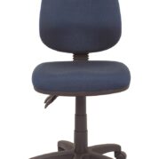 Eco Dell Ergonomic Chair HB - More Options