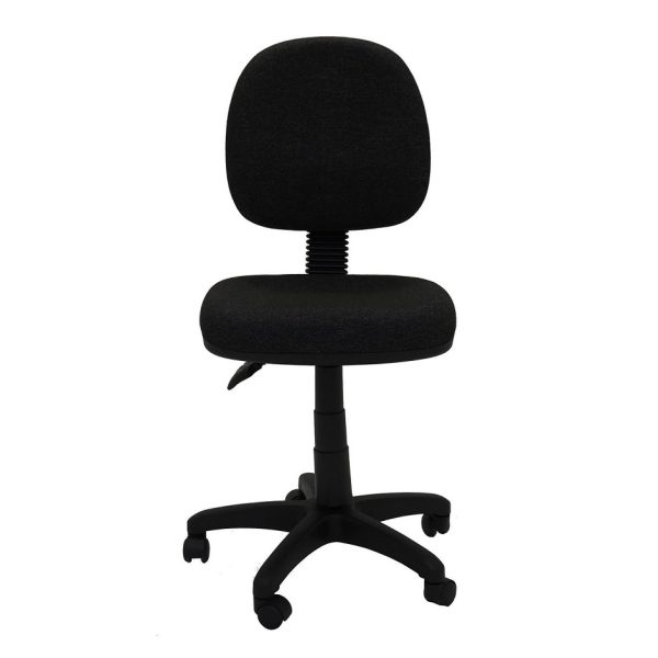 Eco Dell Ergonomic MB Task Chair - 2 Options