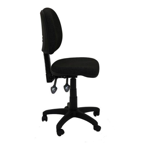Eco Dell Ergonomic MB Task Chair - 2 Options