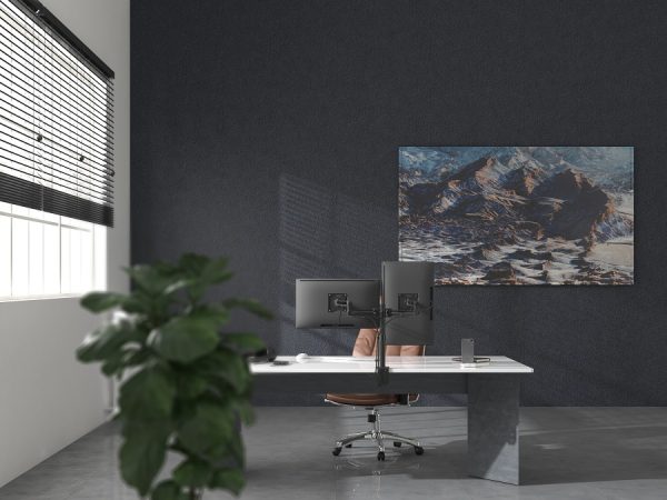 Holo E30 Single Monitor Arm