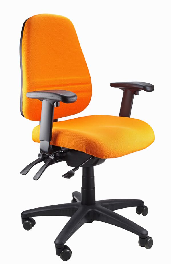 Endeavour 103 Fully Ergonomic Task Chair - With Arms Endeavour 103 Fully Ergonomic Task Chair - With Arms