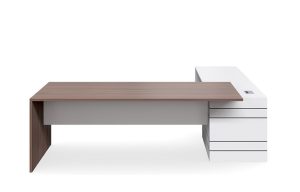 Envo 21 Executive Suite 2100W