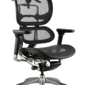 Ergo Mesh High Back Executive Chair
