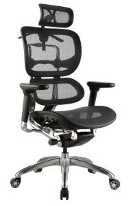 Ergo Mesh High Back Executive Chair 