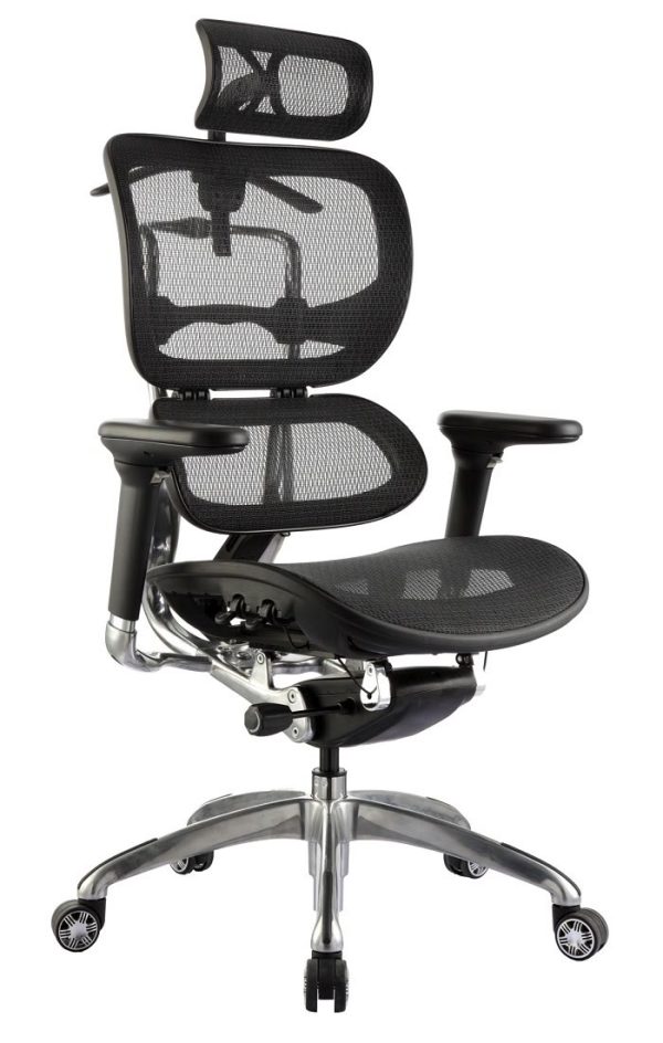 Ergo Mesh High Back Executive Chair Ergo Mesh High Back Executive Chair