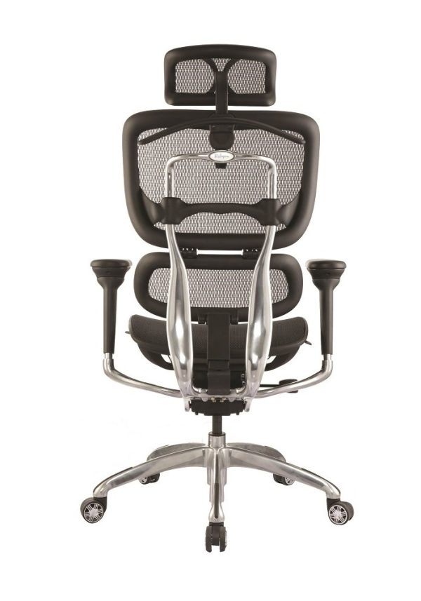 Ergo Mesh High Back Executive Chair Ergo Mesh High Back Executive Chair