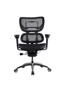 Ergo Mesh Back Executive Chair Ergo Mesh Back Executive Chair