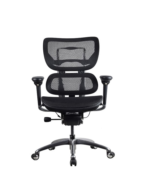 Ergo Mesh High Back Executive Chair Ergo Mesh High Back Executive Chair