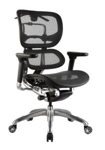 Ergo Mesh Back Executive Chair