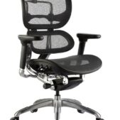 Ergo Mesh High Back Executive Chair