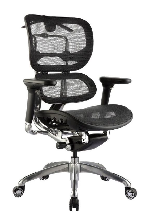 Ergo Mesh High Back Executive Chair Ergo Mesh High Back Executive Chair