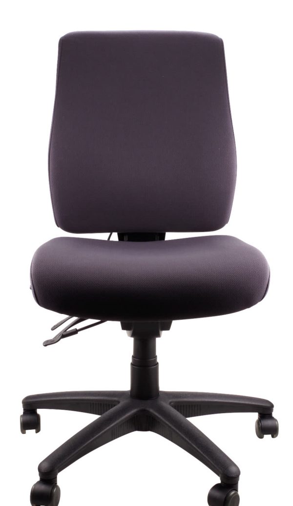 Ergo Air Ergonomic Chair Ergo Air Ergonomic Chair