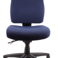 Ergo Air Ergonomic Chair