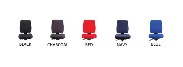 Ergo Form Ergonomic Chair 