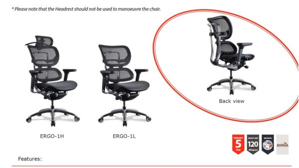 Ergo Mesh High Back Executive Chair Ergo Mesh High Back Executive Chair