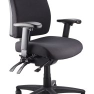 Ergo Form Ergonomic Chair - With Arms