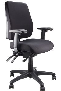Ergo Form Ergonomic Chair - With Arms