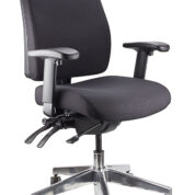 Ergo Form Ergonomic Chair 