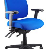 Ergo Form Ergonomic Chair - With Arms