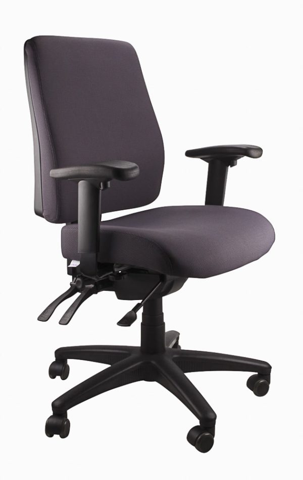 Ergo Form Ergonomic Chair 