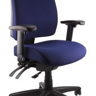 Ergo Form Ergonomic Chair - With Arms