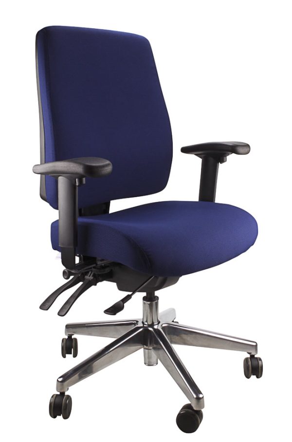 Ergo Form Ergonomic Chair 