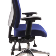 Ergo Form Ergonomic Chair 