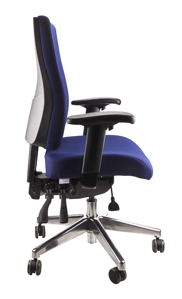 Ergo Form Ergonomic Chair 