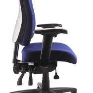Ergo Form Ergonomic Chair - With Arms