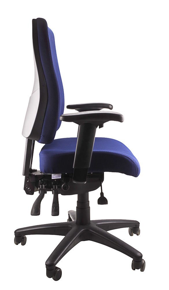 Ergo Form Ergonomic Chair - With Arms Ergo Form Ergonomic Chair - With Arms