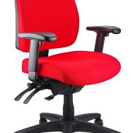 Ergo Form Ergonomic Chair - With Arms
