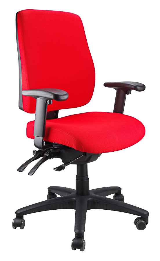 Ergo Form Ergonomic Chair - With Arms Ergo Form Ergonomic Chair - With Arms