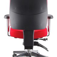 Ergo Form Ergonomic Chair - With Arms