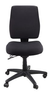 Ergo Form Ergonomic Chair
