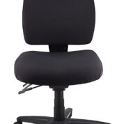 Ergo Form Ergonomic Chair 