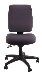 Ergo Form Ergonomic Chair 